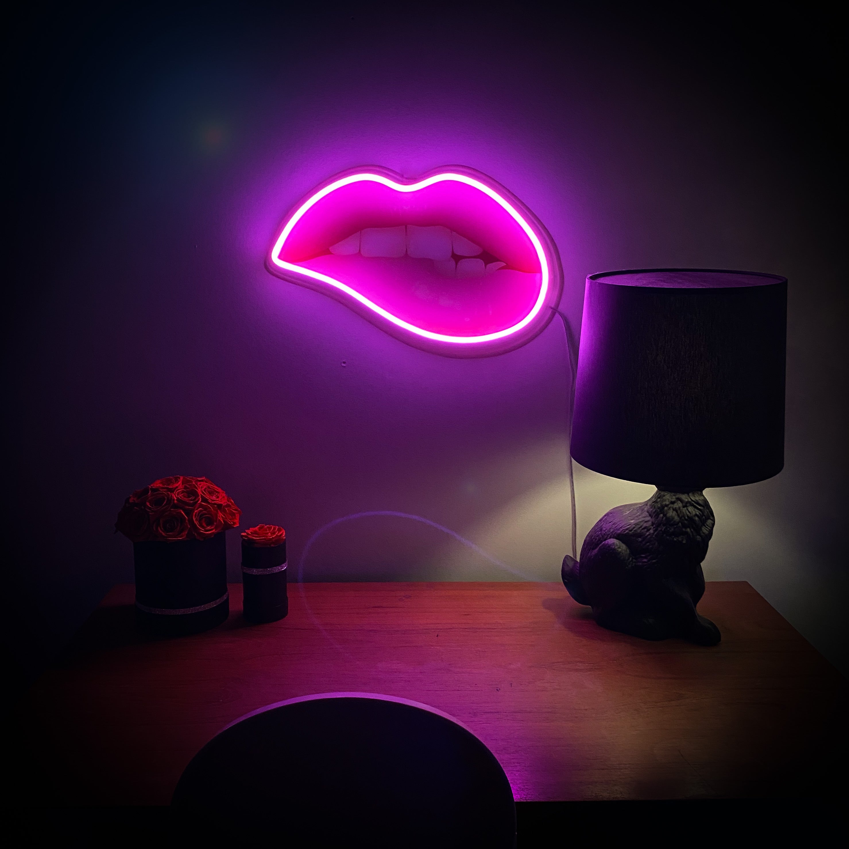 Lips (wall hanging)- Custom LED Neon Style Picture Sign