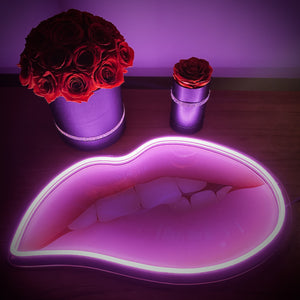 Lips (wall hanging)- Custom LED Neon Style Picture Sign
