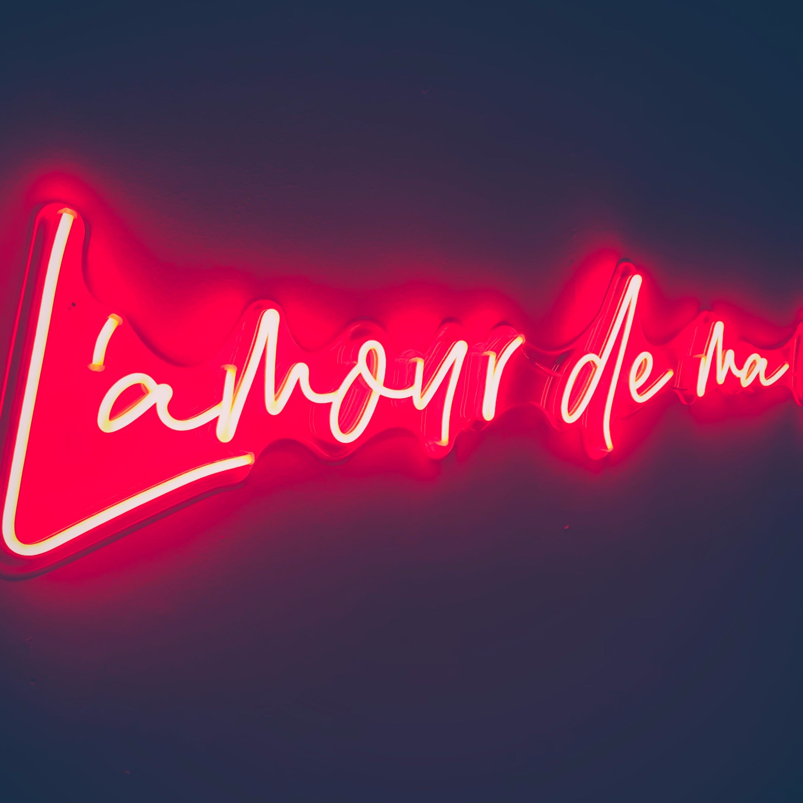 L'amour de Ma Vie / Love of My Life - Custom LED Neon-Style Wedding Sign